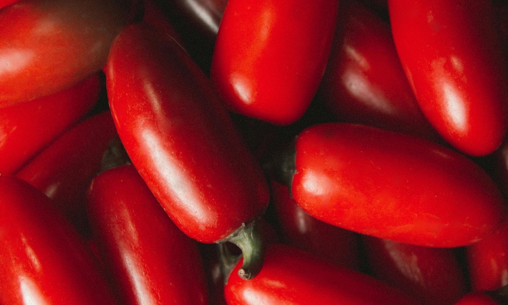 Paradajky san marzano