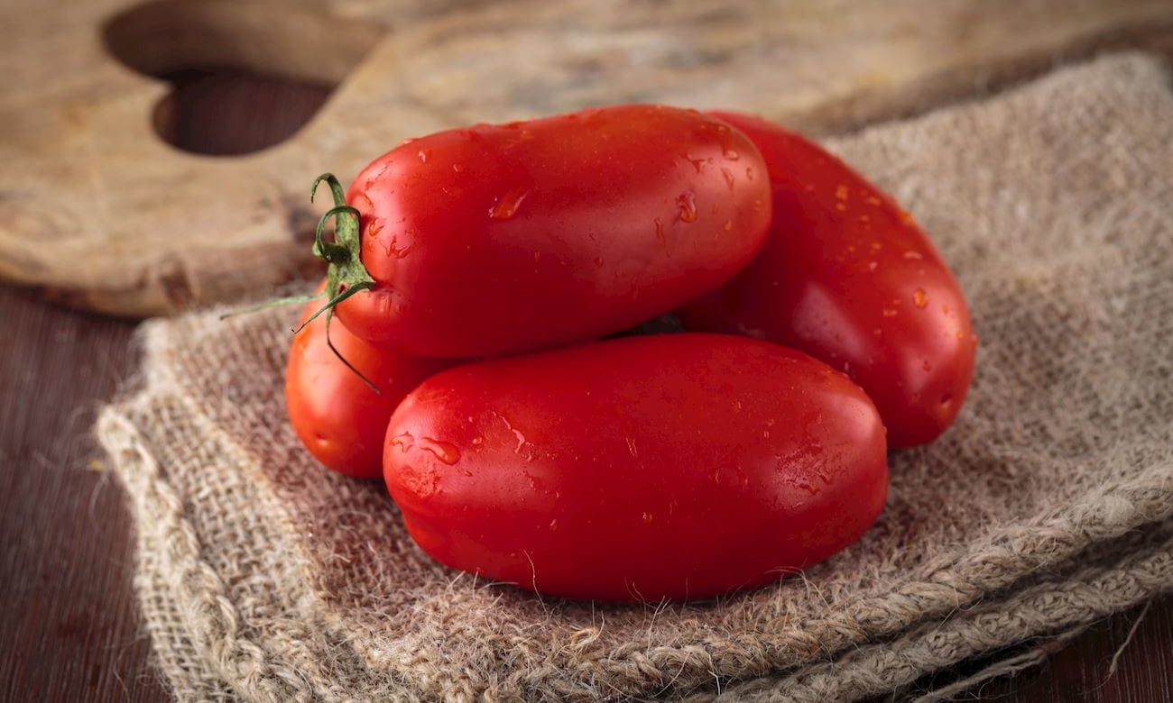 Paradajky san marzano