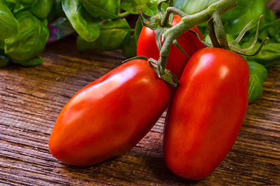 Najlepší recept na pomodoro: príprava z pradajok San Marzano 1